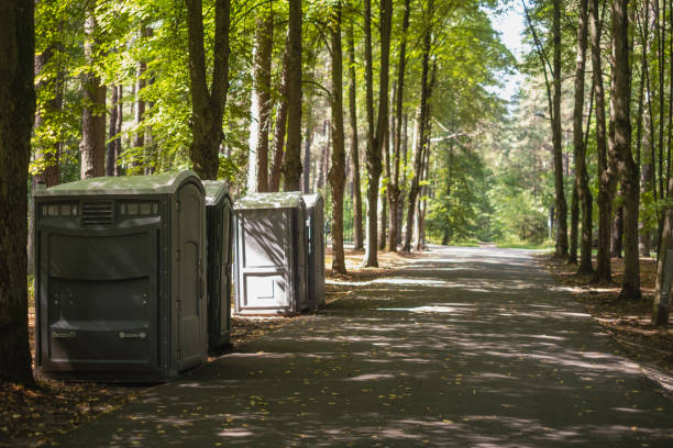 Best Affordable porta potty rental  in Fairview Ferndale, PA